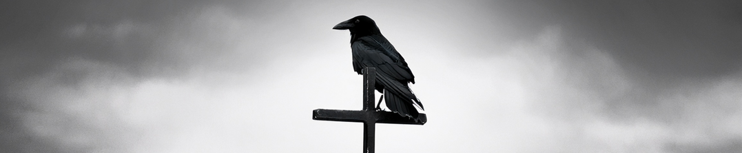 Profile Banner