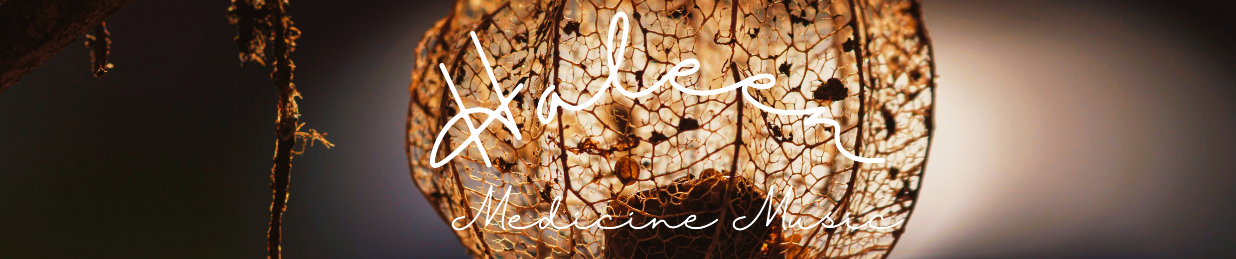 Profile Banner